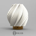 Shell Lamp